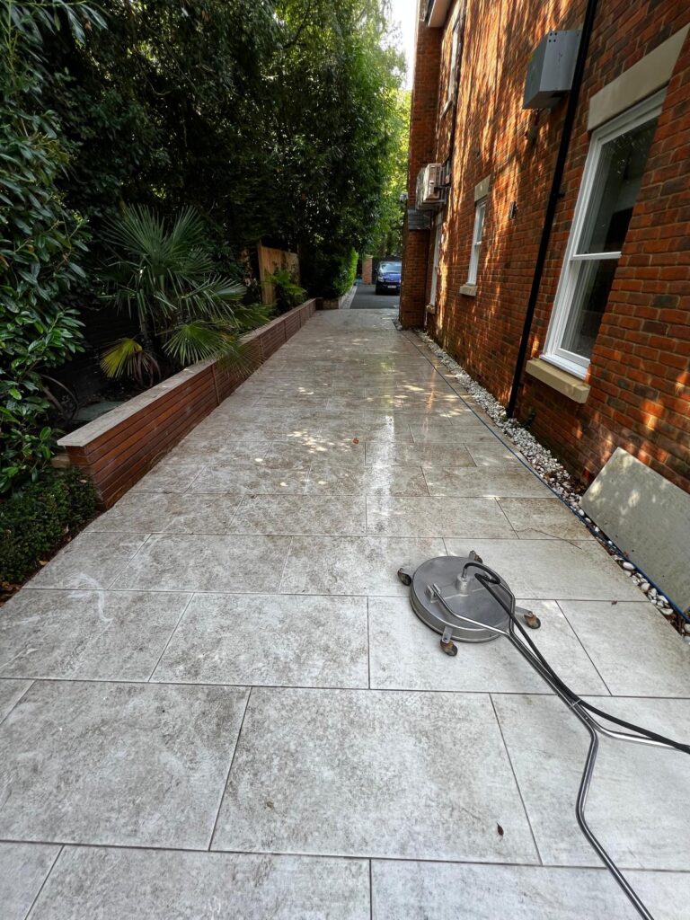 Side Path & Driveway — before cleaning